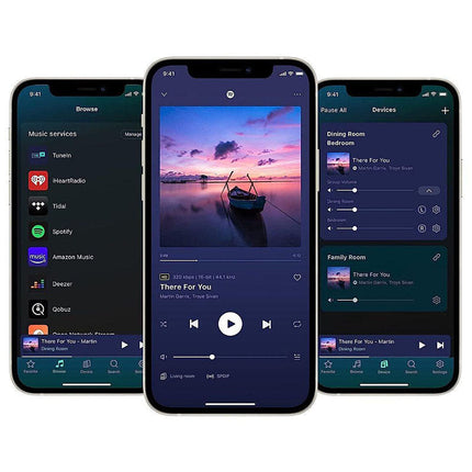 WiiM Amp Wi-Fi Streaming Amplifier
