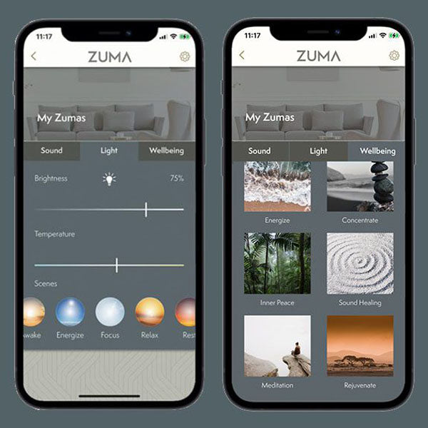 Zuma Lumisonic Ceiling Speaker Downlight (Each) – Ceiling Speaker World